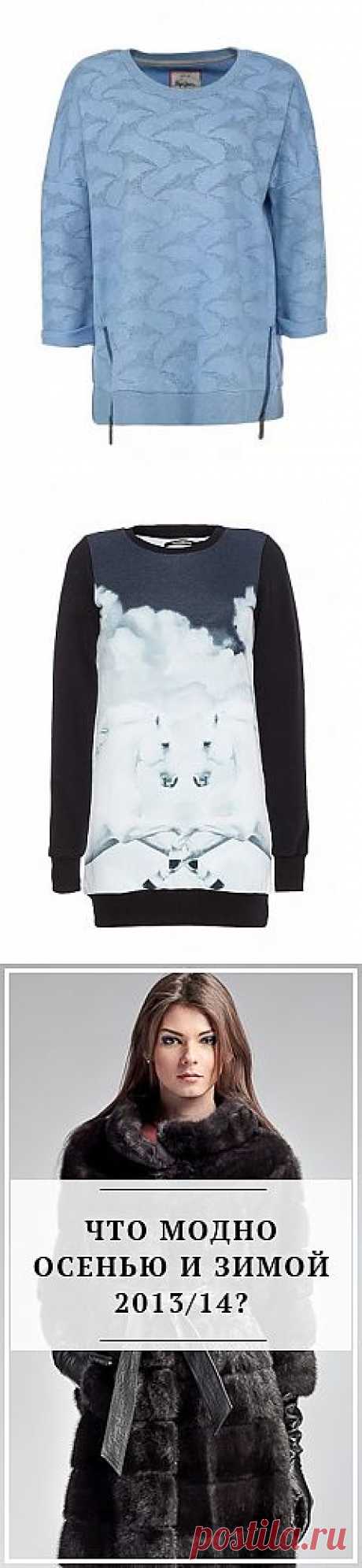 Looksima. ТРЕНДЫ Шесть ярких свитшотов этой зимы