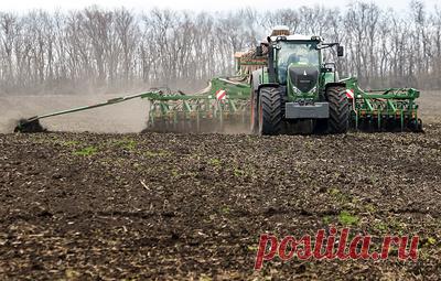 Раскрыта опасность наночастиц оксида свинца для черноземов. Результаты можно использовать при создании более точных моделей поведения наноматериалов в агроэкосистемах и при подготовке рекомендаций для мониторинга и предотвращения загрязнения