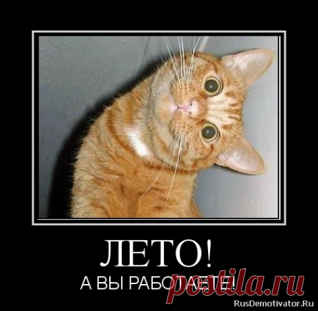 Хохмы и байки для хорошего настроения