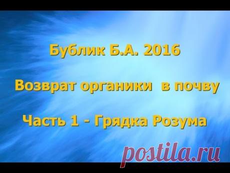 Бублик Б.А. 2016 Возврат органики в почву часть 1 - Грядка Розума