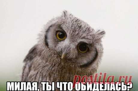 Милая, ты обиделась? | thePO.ST