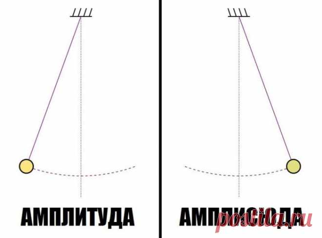 Лучшие прикольные картинки! / Приколы