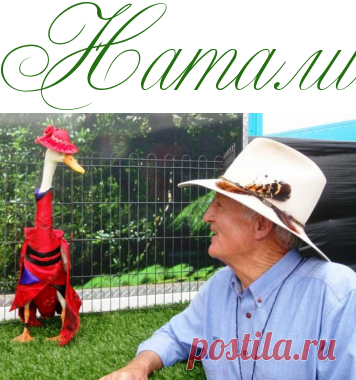 Необычный показ мод - Модный приговор звезд - Информационно - развлекательный портал.