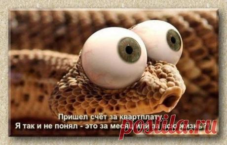 В Германии раскрыли фамилию преемника Путина