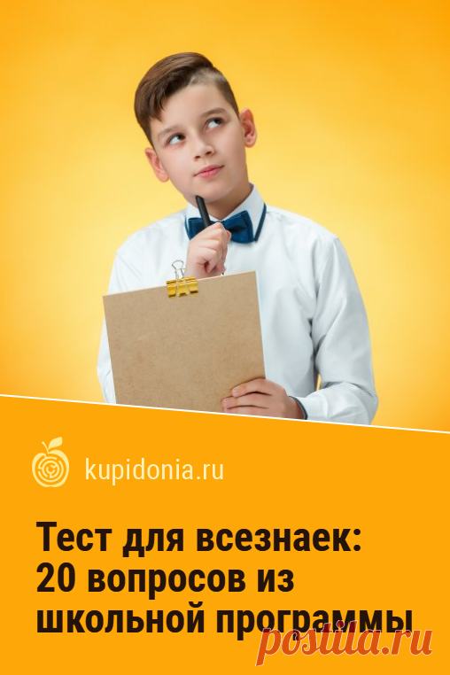Тест для всезнаек: 20 вопросов из школьной программы. Тест для проверки ваших школьных знаний. Если вы были отличником, то должны легко с ним справиться. Попробуйте свои силы!