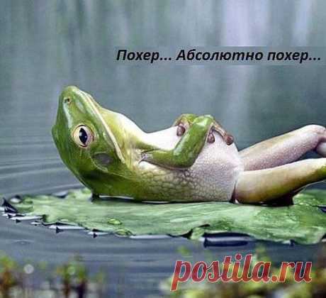 :))))))))))))
ღ ʒ อ λ อ τ ส ศ ღ
Делай то, что хочется, потому что тебя всё равно будут осуждать до конца жизни....