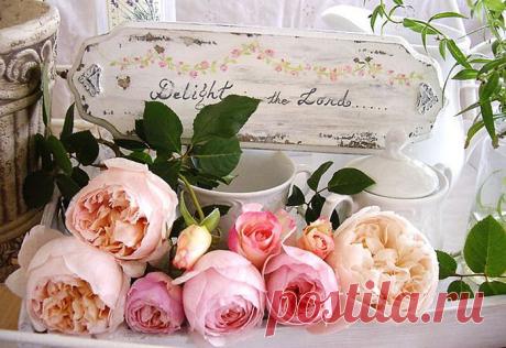 Ранункулюс. Посадка, размножение, уход и разнообразие окрасок.