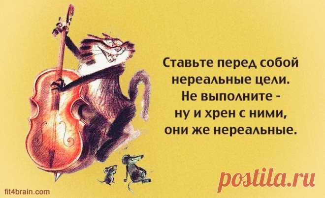 Немного забавной философии – Фитнес для мозга