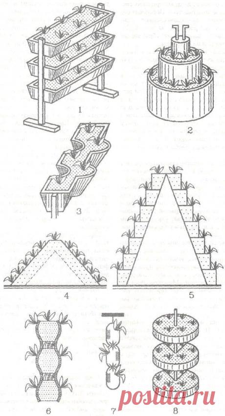 Выращивание земляники с помощью покрышек - Все о покрышках