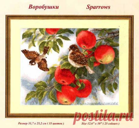 Воробушки Золотое Руно Sparrows.