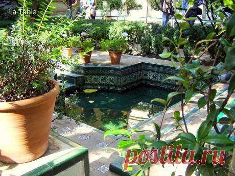 patios cordobeses interiores bonitos - Buscar con Google