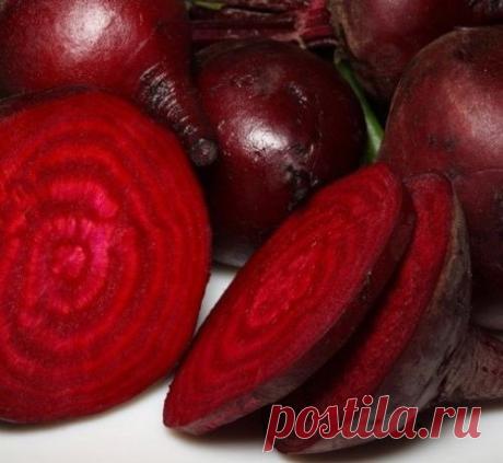 Лечебные свойства свеклы красной
