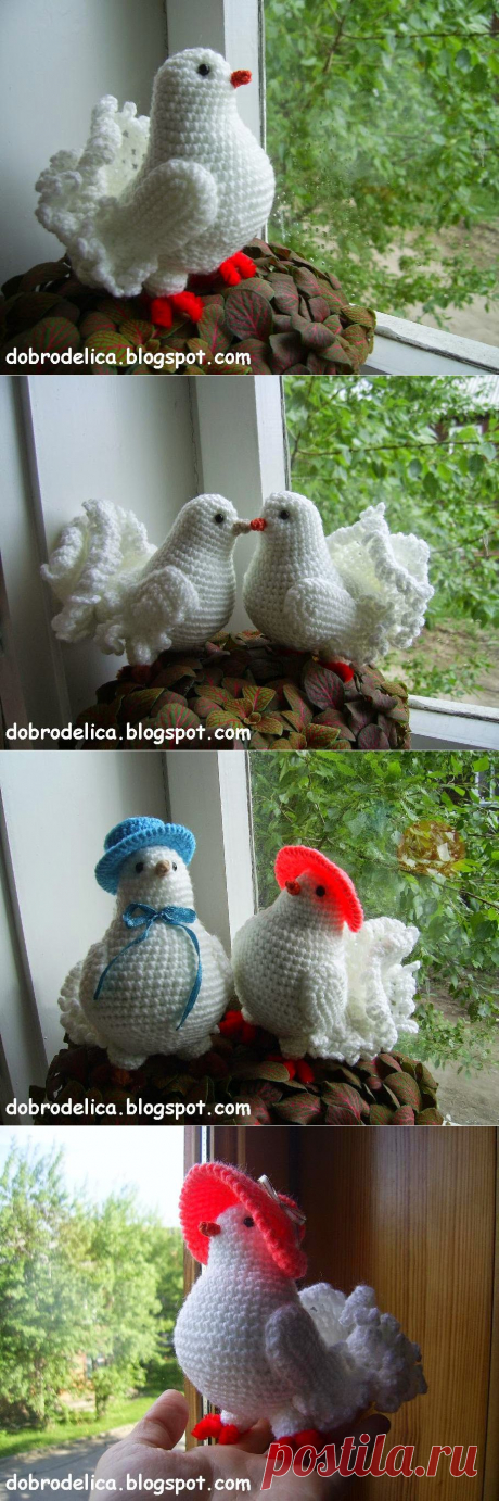 Доброделица: Голубь крючком Мастер-класс.