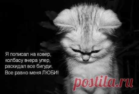 Интересные новости