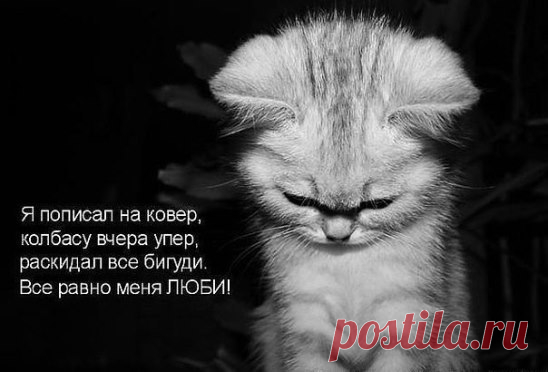 Интересные новости