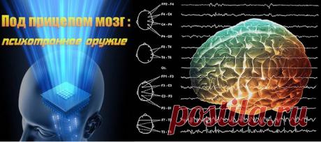 Дневник Солнечный Мир