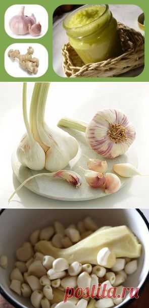 Чеснок на зиму. Чесночная паста