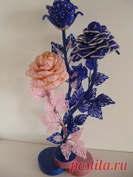 (28) Одноклассники