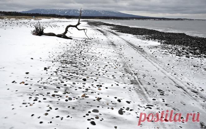 Посол Галузин напомнил представителю США позицию России по Курилам. Россия не признает притязания Японии на Южные Курилы, заявил российский посол Михаил Галузин, отвечая на критику американского коллеги.