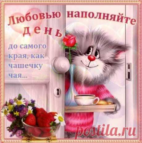 (70) Одноклассники