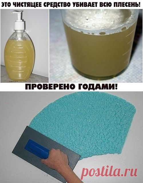 (7) Одноклассники