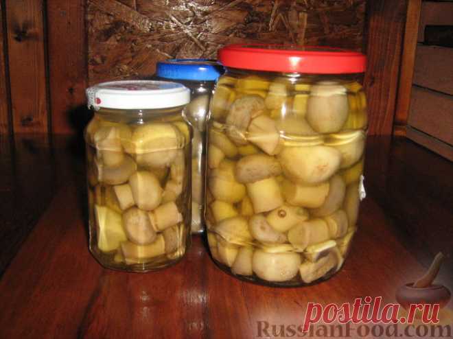 Маринованные грибочки - 50 рецептов с маринованными грибами