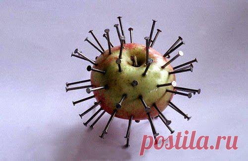 Кислые яблоки прогонят алкоголизм | Друг пенсионера
Это происходило в деревне, где жи­ли мои родственники, когда меня еще на свете не было. Вообще, дав­но ведь подмечено, что в сельской местности люди вы­пивают сильнее, чем в городе, — заняться после работы нечем, развлечений особен­но нет никаких, так что есть все предпо­сылки.