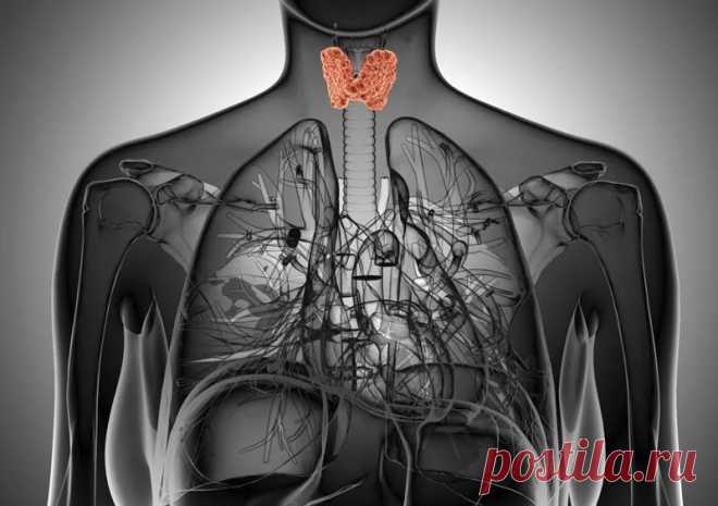 Лечение аутоиммунного тиреоидита