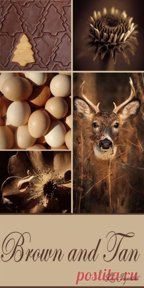 ЦВЕТОТЕРАПИЯ ВОССТАНОВЛЕНИЯ ЗРЕНИЯ