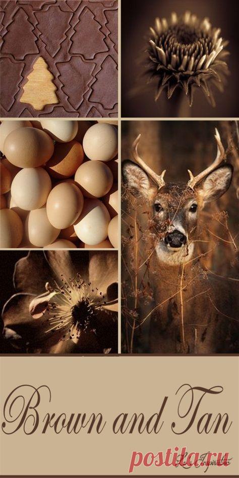 ЦВЕТОТЕРАПИЯ ВОССТАНОВЛЕНИЯ ЗРЕНИЯ