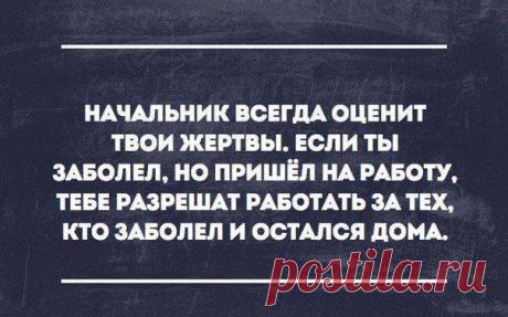 Post #1639 — Юморная (JoqanYCp3vFmZDVi)