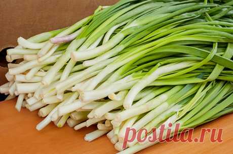 Дачный участок