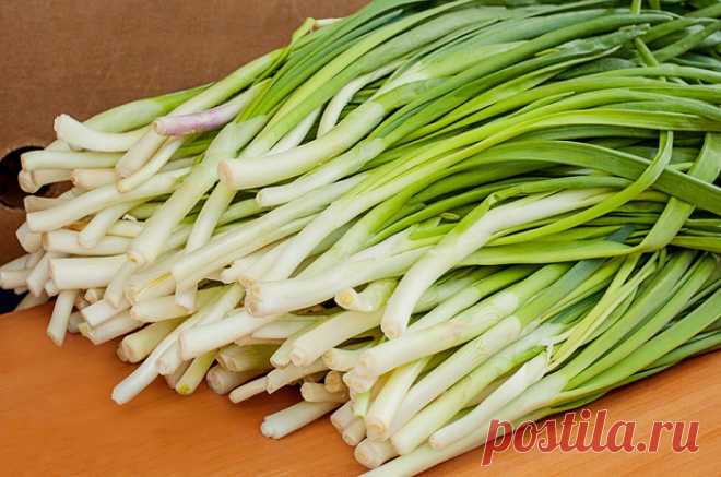 Дачный участок