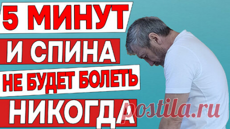 Три отличных упражнения для здоровья позвоночника и спина не будет болеть никогда | ✔️ ЗОЖ с Сарматом | Дзен