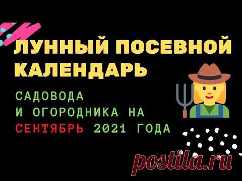 Лунный посевной календарь садовода и огородника на сентябрь 2021 года Лунный посевной календарь садовода и огородника на сентябрь 2021 года https://youtu.be/7sjXXDM5hbk__________________Узнайте первым, о чем говорит лунный посе...