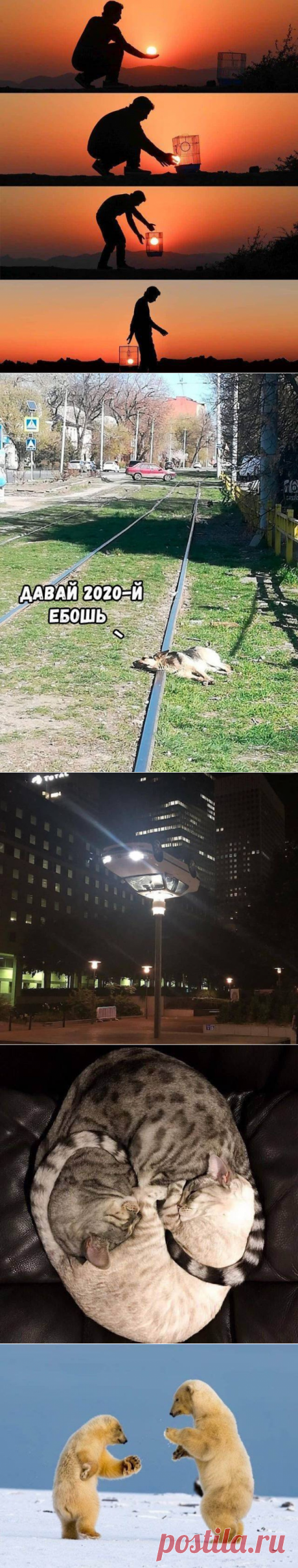 Подборка прикольных картинок и фотографий-259