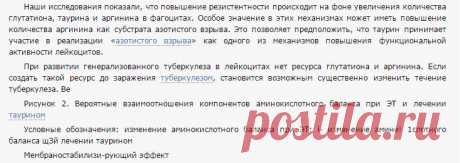 Диссертация на тему «Экспериментальное обоснование применения таурина в терапии туберкулеза» автореферат по специальности ВАК 14.00.16 - Патологическая физиология | disserCat — электронная библиотека диссертаций и авторефератов, современная наука РФ