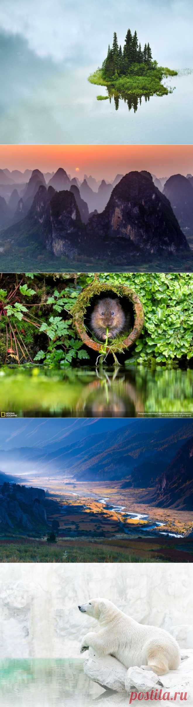 Лучшие фотографии National Geographic за май 2014.