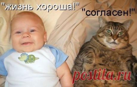 Лилия Советкина | ВКонтакте