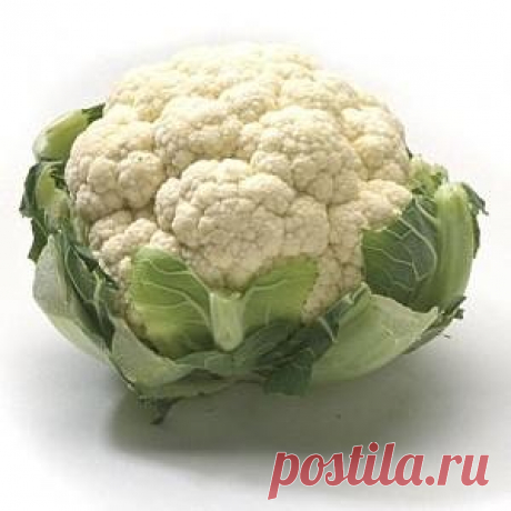 (33) Одноклассники
