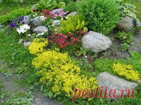 Как сделать альпийскую горку своими руками