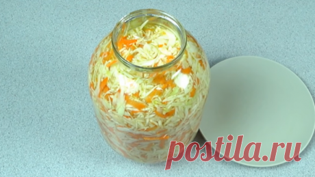 Капуста-«скороспелка» в банках: хрустящая маринованная закуска, которая готова уже через сутки