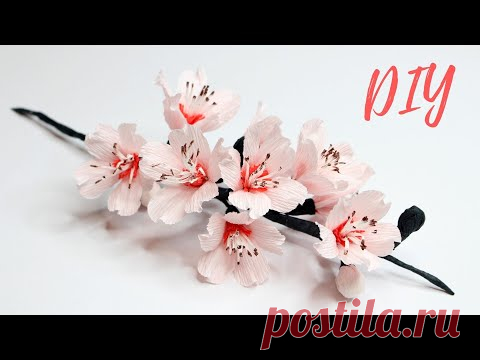 Сакура из гофрированной бумаги / DIY How To Make Cherry Blossom Paper Flower