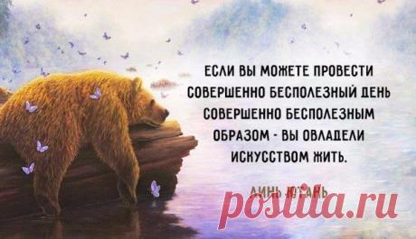 фитнес для мозга: 24 тыс изображений найдено в Яндекс.Картинках