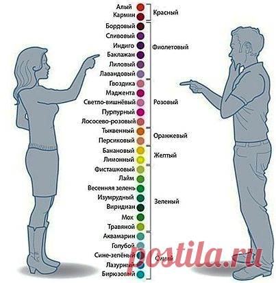 Женская территория