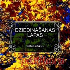 Atveseļoties un palikt dzīvam. - draugiem.lv