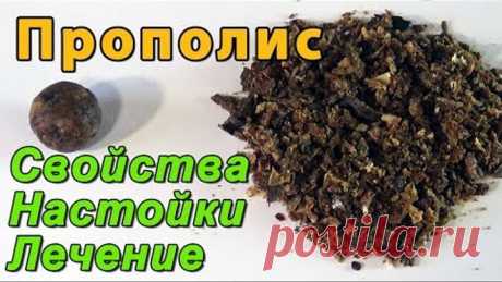 Прополис. Настойка прополиса. Свойства прополиса и лечение прополисом в быту.