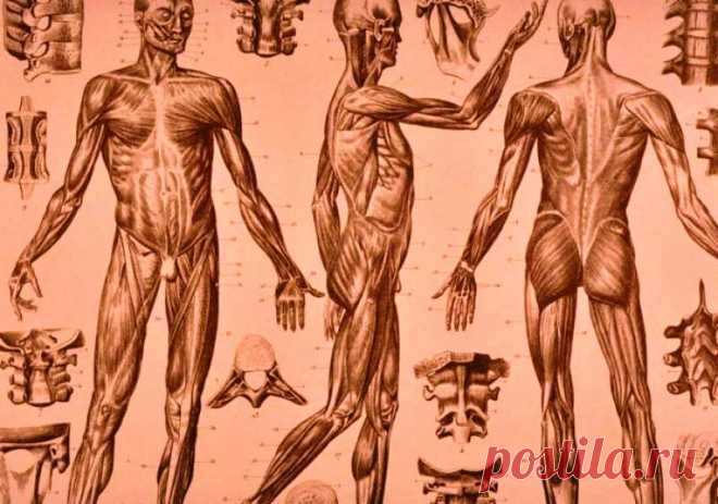 Запустите в себе целительные процессы! 18 золотых правил исцеления