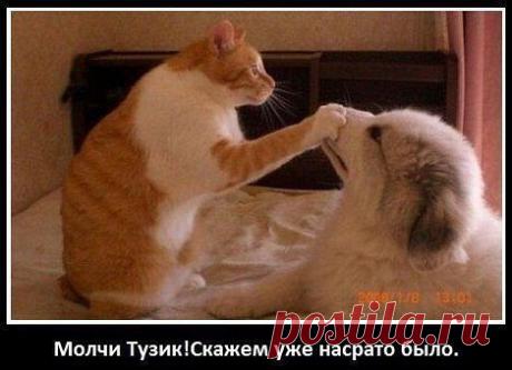 Правда жизни