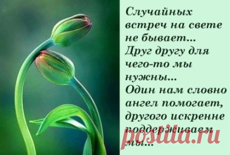 Глава 2. Для чего мы нужны друг другу?